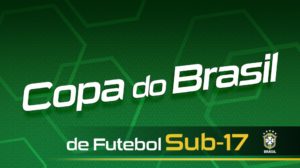 logo copa brasil 17