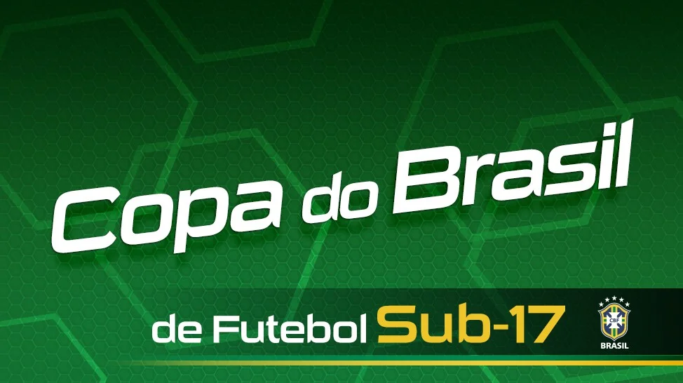 logo copa brasil 17