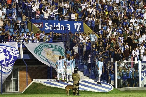 avai e palmeiras