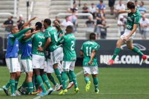 palmeiras foto fabio menotti