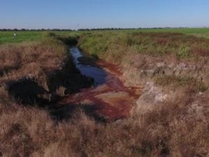 rio araguaia investigacao policia civil