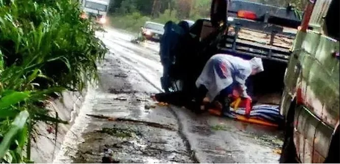 capotamento jardim paulista go reproducao folha de jaragua