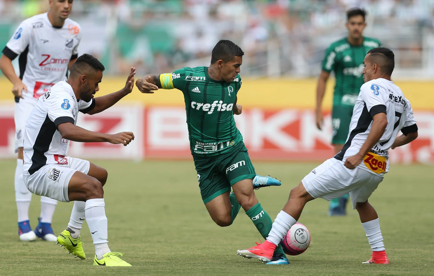 palmeiras e braga