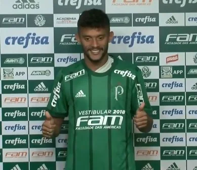 palmeiras sacarpa