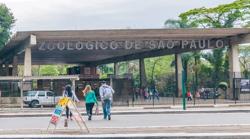 zoologico de sao paulo rep