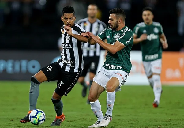 botafogo e palmeiras