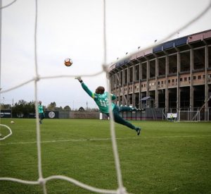 palmeiras boca