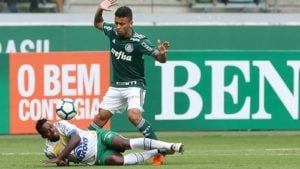 palmeiras e chapecoense