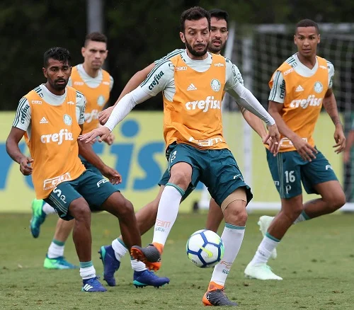 preparacao palmeiras 1111