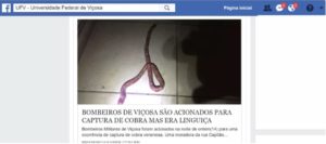 mulher confunde linguica com cobra rep facebook.jpg