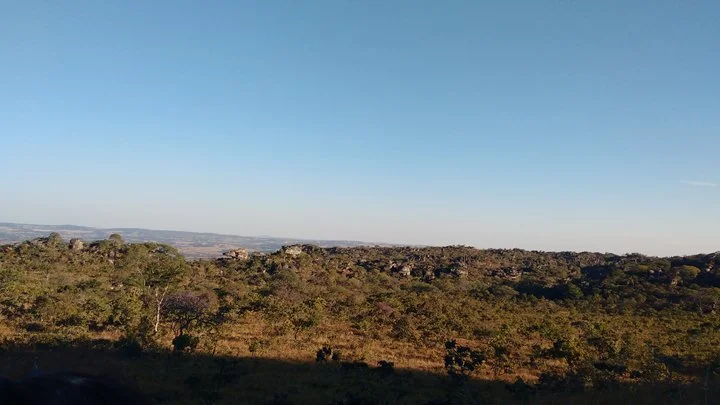 Parque Estadual Serra Dourada.jpeg