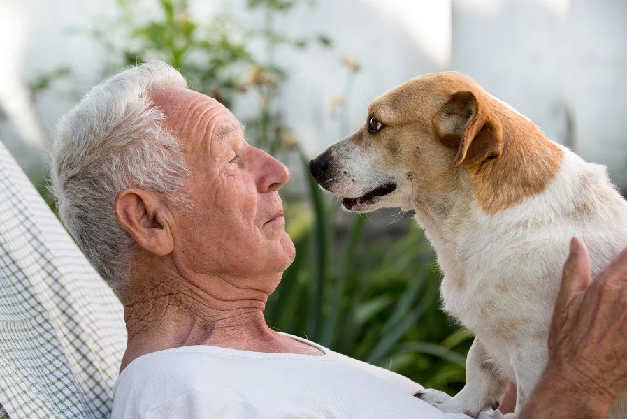 Projeto permite entrada de animais no ambiente hospitalar.jpg