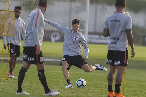 timao treino