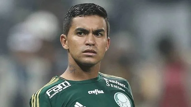 dudu palmeiras