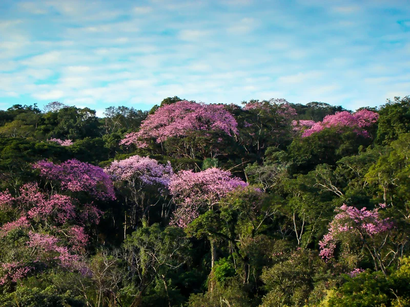 parque ecologico foto secima.jpg