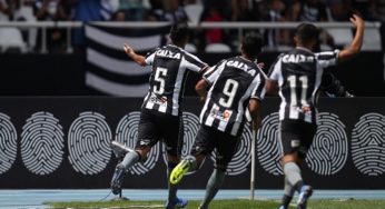 Com apoio da torcida, Botafogo bate América-MG e encerra jejum