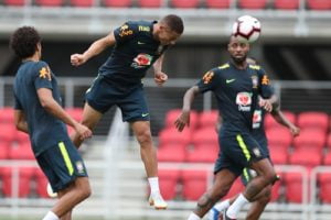 novidades selecao