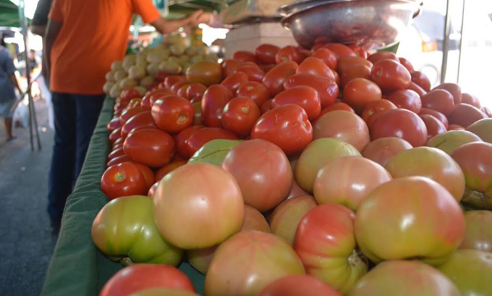 tomate-foto-thais-dutra.jpg