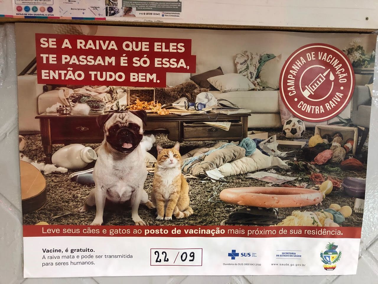 Vacina? Só se for para cachorro