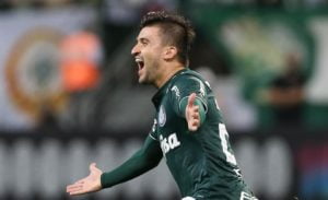 palmeiras.jpg