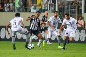 galo e botafogo