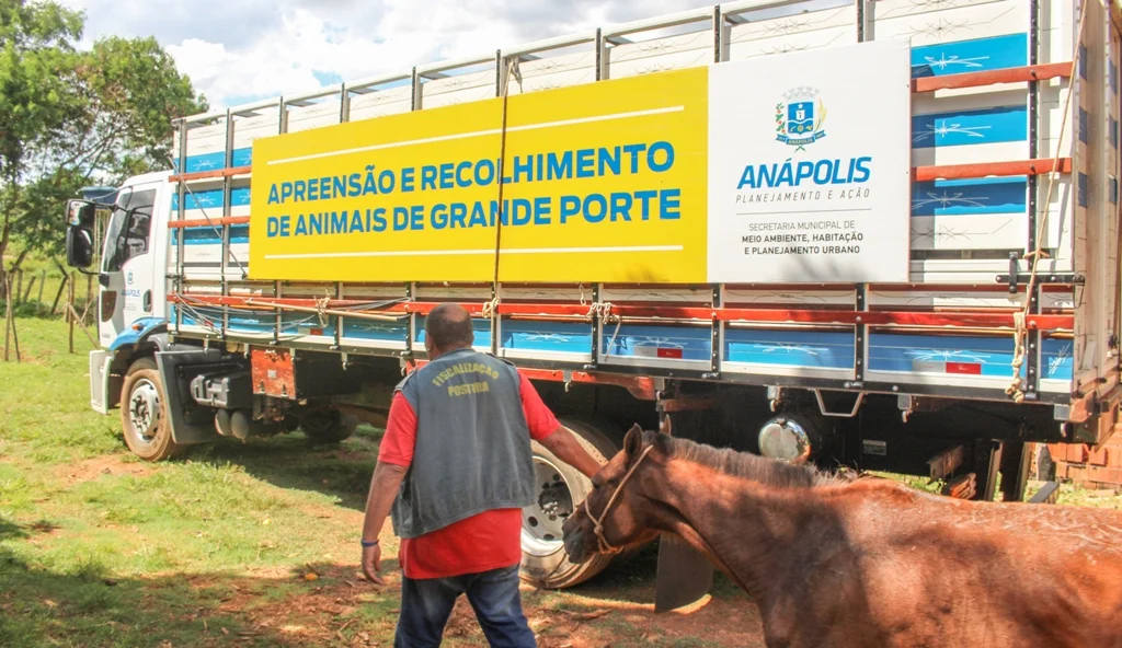 recolhimentodeanimais anapolis.JPG