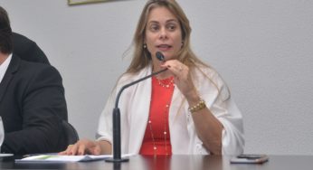 Secretária vê necessidade de reduzir renúncia fiscal de Goiás