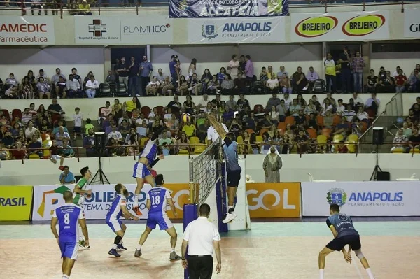 volei dg