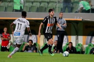 galo e santos