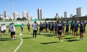 treino goias