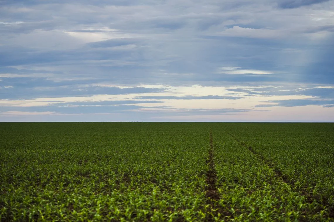 Anvisa reclassifica quase 2 mil agrotóxicos em novo marco regulatório