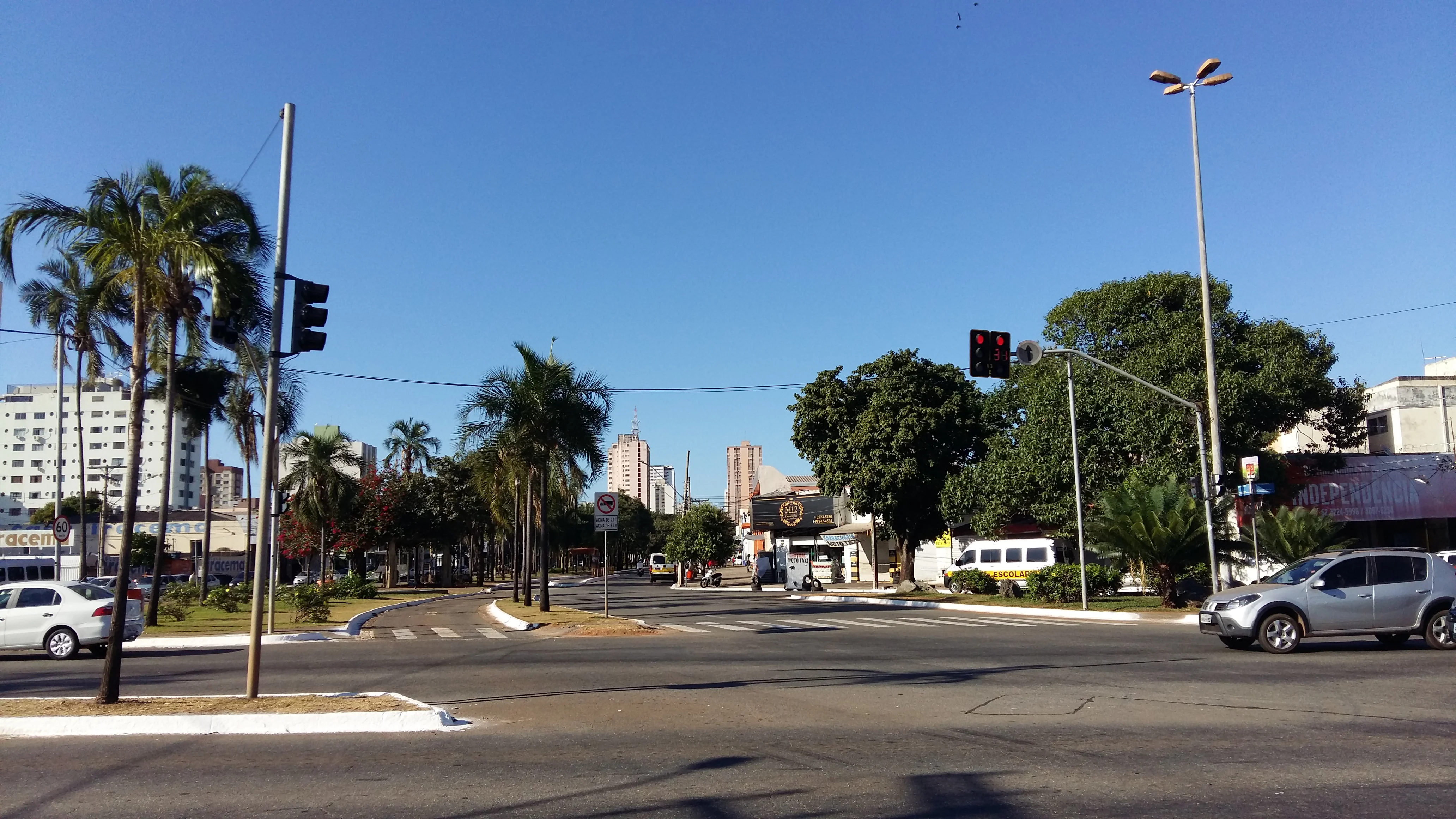 Replantio de árvores faz parte de acordo para obra do BRT na Goiás