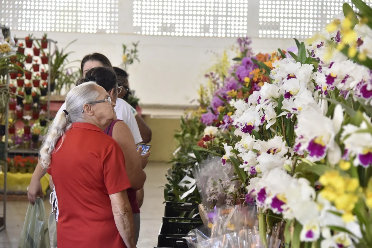 Aparecida promove exposição de Orquídeas e Rosas do Deserto a partir desta sexta (30)