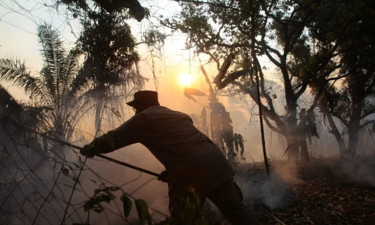 Parques ecológicos na BR-060 já tiveram 1 mil hectares destruídos por incêndio