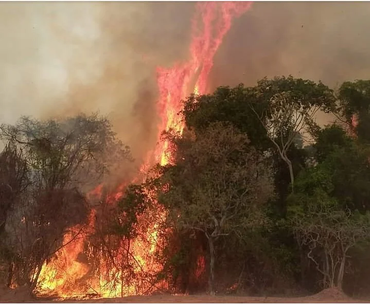 Incêndio atinge área de estudo da UniEvangélica, em Anápolis