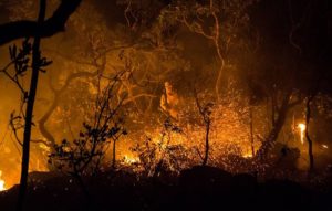 incendio chapada dos veadeiros foto agencia brasil