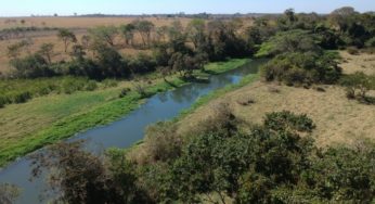 Proposta de criação de Parque Linear entre Goiânia e Brasília promete preservar recursos hídricos da região