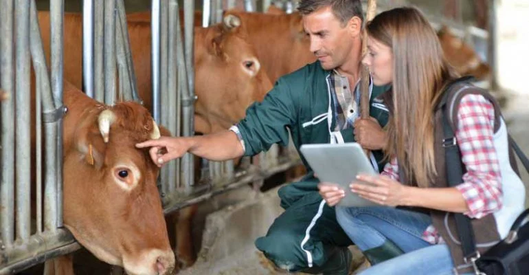 Itego abre cursos de Agricultura e Zootecnia em Porangatu e Cristalina