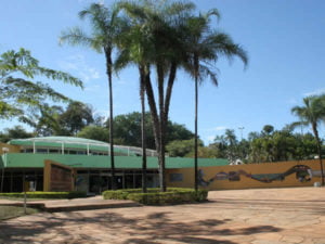 biblioteca praca universitaria