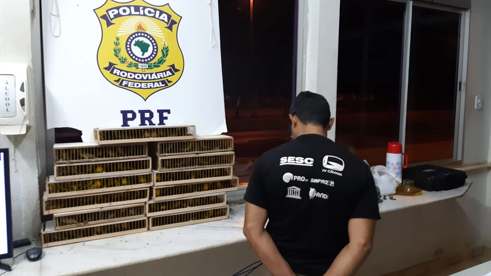 Homem é preso transportando 250 canários ilegalmente