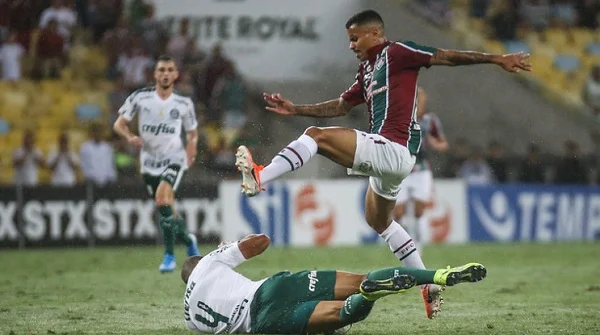 fluminense x palmeiras