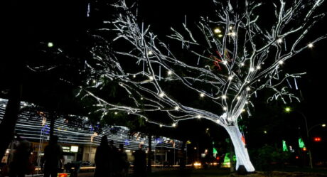 Aparecida de Goiânia inicia programação de Natal nesta terça-feira (3)