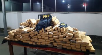 Meia tonelada de maconha é apreendida em Rio Verde