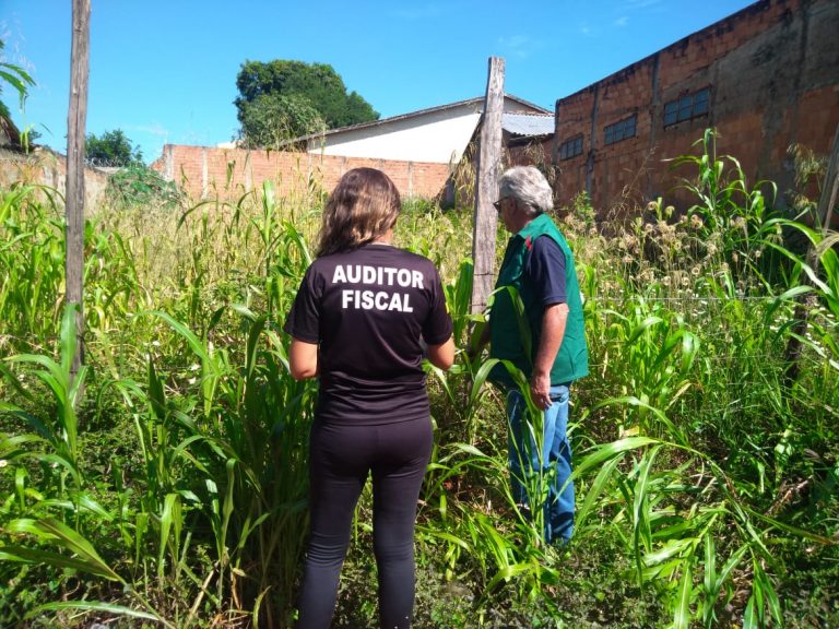 11 mil donos de lotes vagos em Goiânia são notificados por falta de manutenção