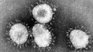 coronavirus