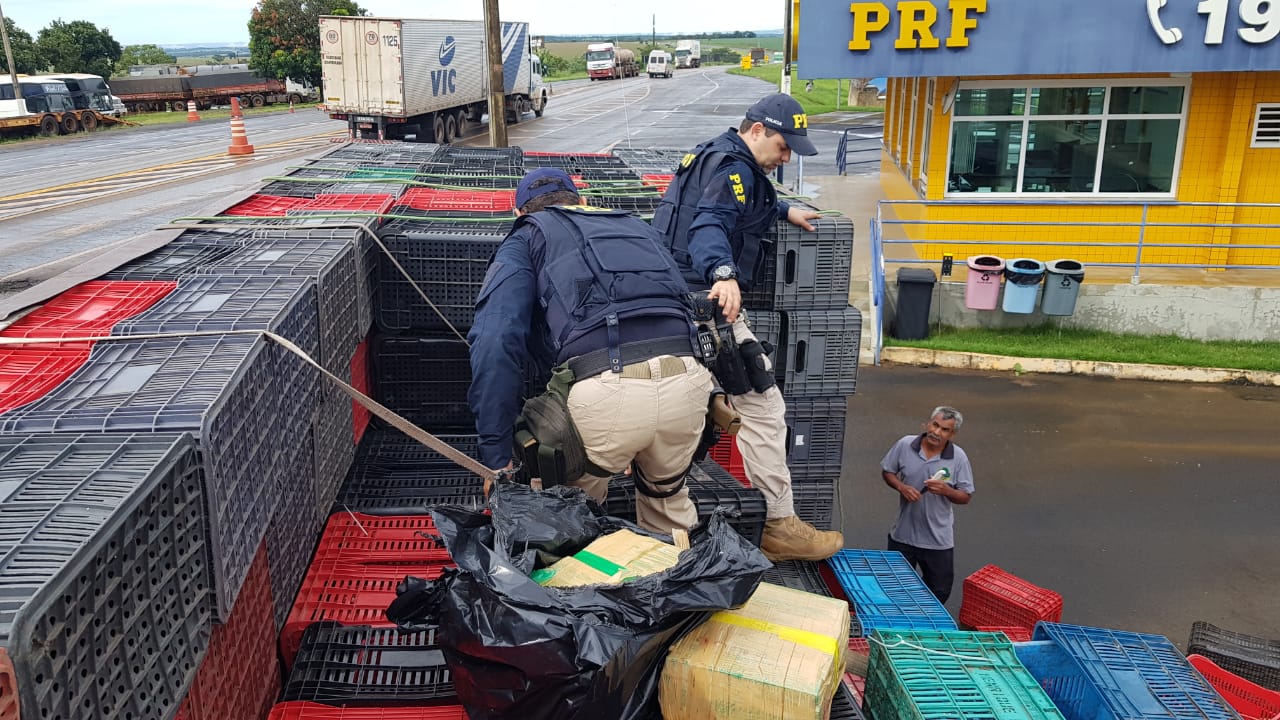 1 tonelada de maconha é apreendida na BR-050, em Catalão