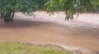 Nível do Rio Vermelho baixa, mas Bombeiros mantêm monitoramento