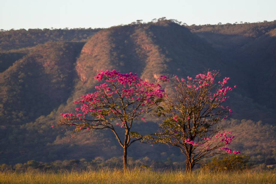 31 pessoas foram flagradas tentando entrar no Parque da Serra de Caldas