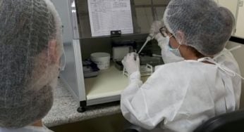 Brasil registra 70 mortes por covid-19 em 24 h e tem nova alta em casos positivos