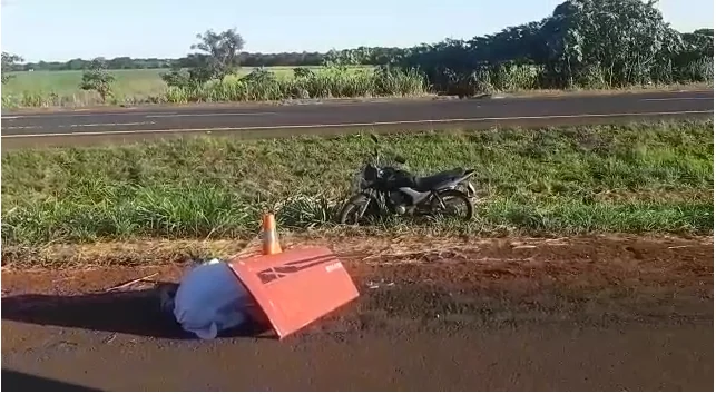 Homem morre após ser picado por abelhas, em Acreúna